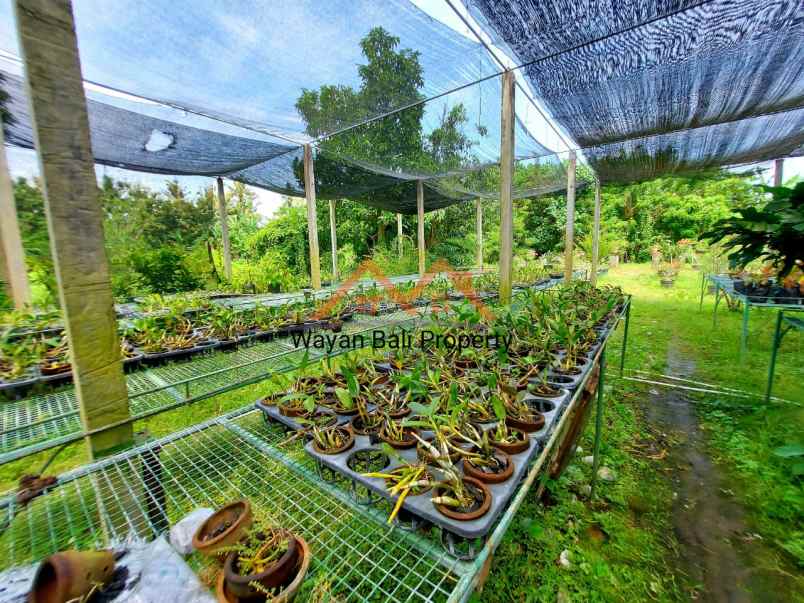 ruko gudang kantor baluk