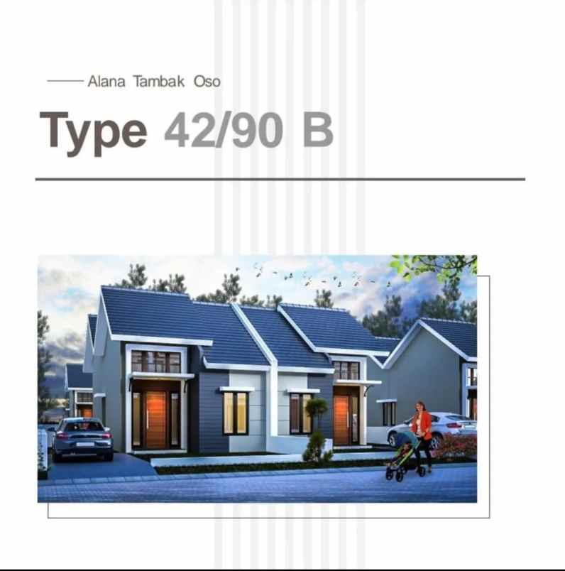 rumah alana regency tambak oso