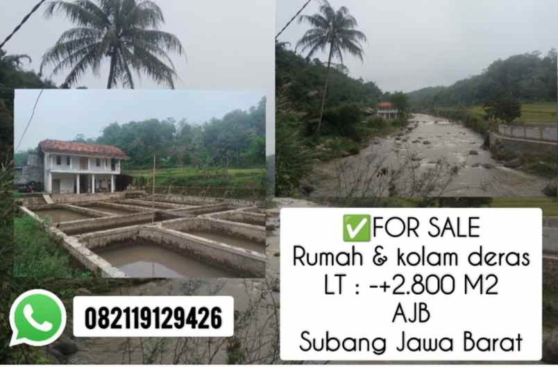 rumah kolam ikan dekat sungai besar subang jawa barat