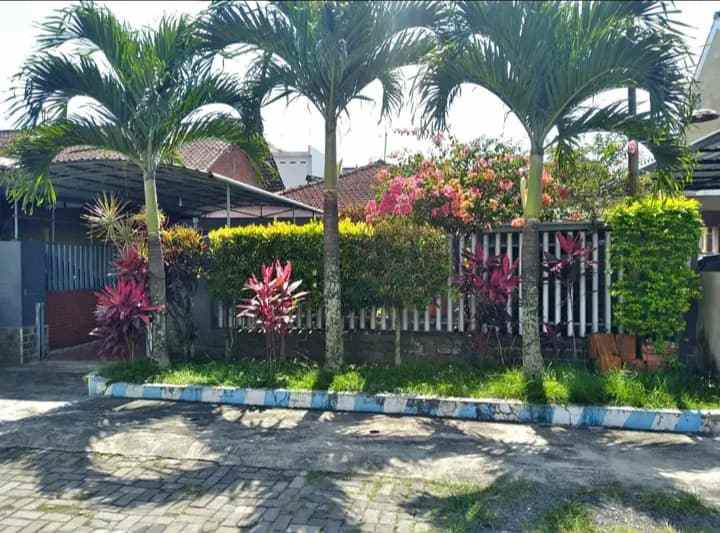 rumah siap huni cocok untuk kos kosan di suhat