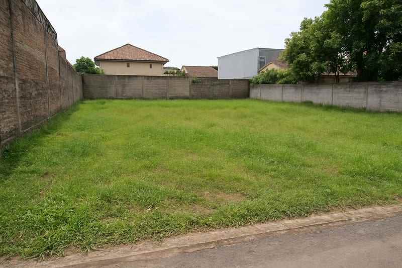 sayang tanah nganggur jadikan cuan