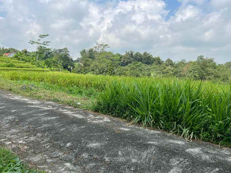 tanah 1600m barat pasar karangpandan