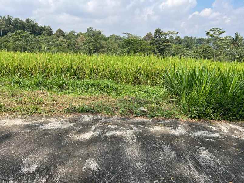 tanah 1600m barat pasar karangpandan