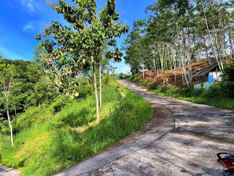 tanah 2 hektar perbatasan ngargoyoso karanganyar