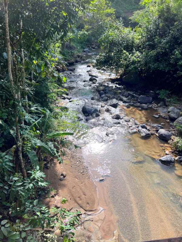 tanah 2 hektar perbatasan ngargoyoso karanganyar