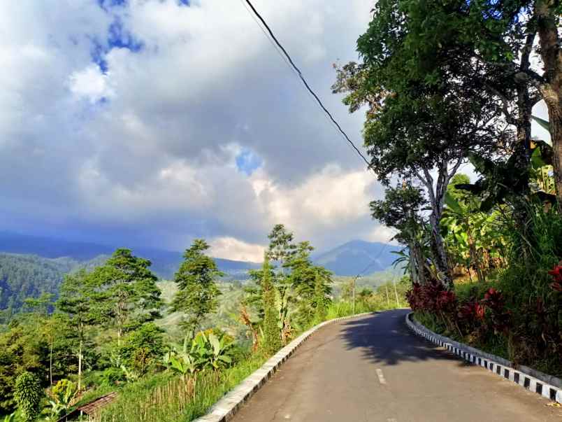 tanah 270m cocok buat villa tawangmangu karanganyar