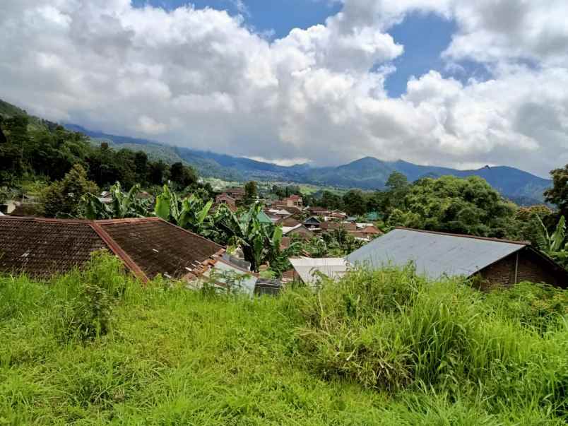 tanah 270m cocok buat villa tawangmangu karanganyar