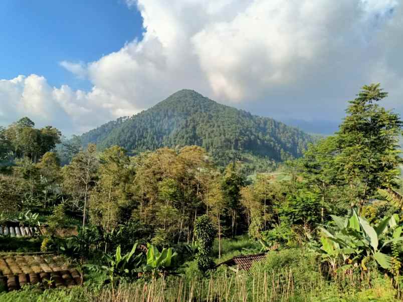 tanah 270m cocok buat villa tawangmangu karanganyar