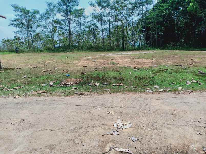 tanah 3 7 hektar dekat pasar karangpandan karanganyar