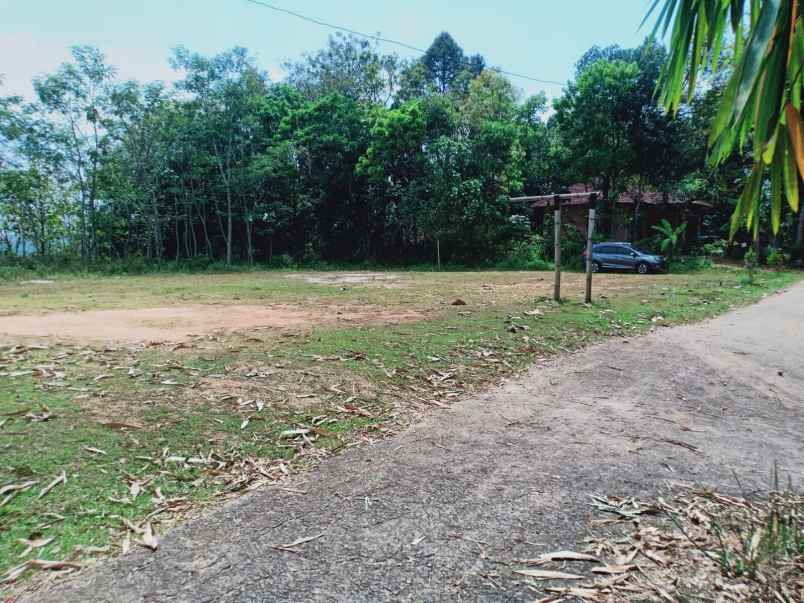 tanah 3 7 hektar dekat pasar karangpandan karanganyar