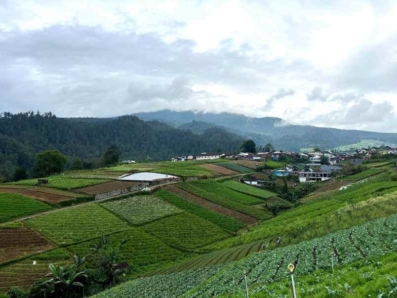 tanah 300 juta siap bangun villa tawangmangu