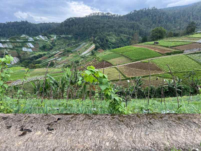 tanah 300 juta siap bangun villa tawangmangu
