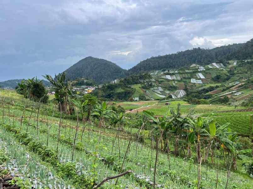 tanah 300 juta siap bangun villa tawangmangu
