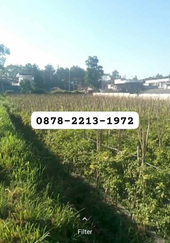 tanah bagus resort dekat ke lembang kota