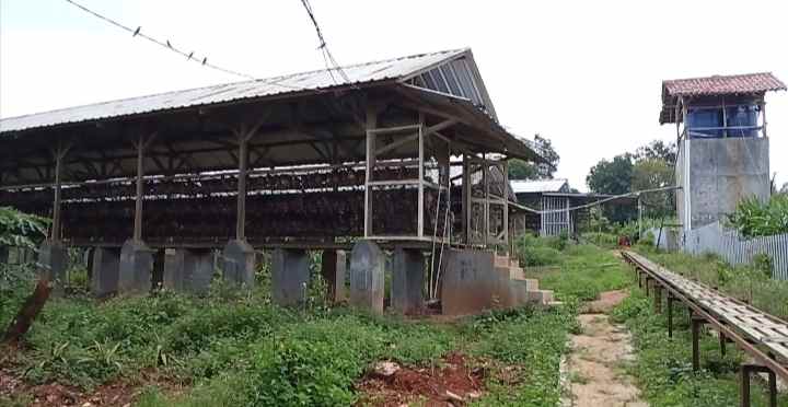 tanah bangunan kandang ayam petelur subang jawa barat