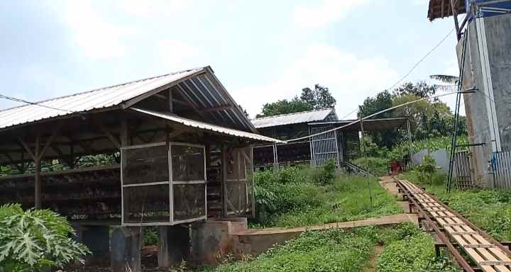 tanah bangunan kandang ayam petelur subang jawa barat
