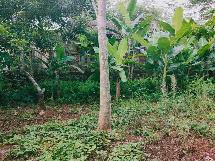 tanah dekat pasar mojogedang