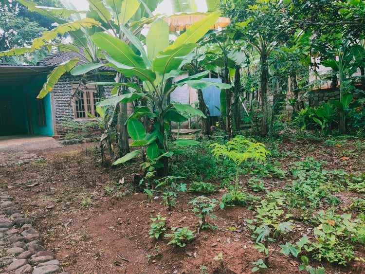 tanah dekat pasar mojogedang