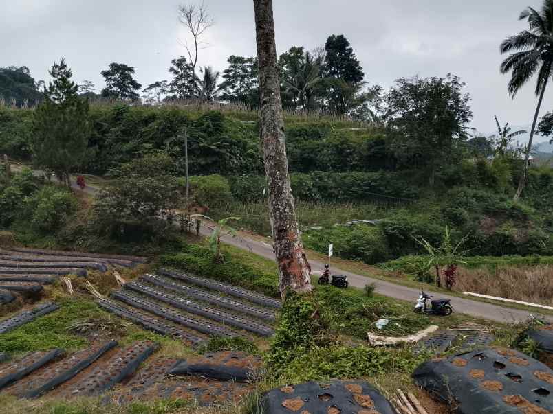 tanah dekat wisata air terjun ciangin ciater subang