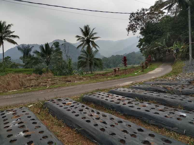 tanah dekat wisata air terjun ciangin ciater subang
