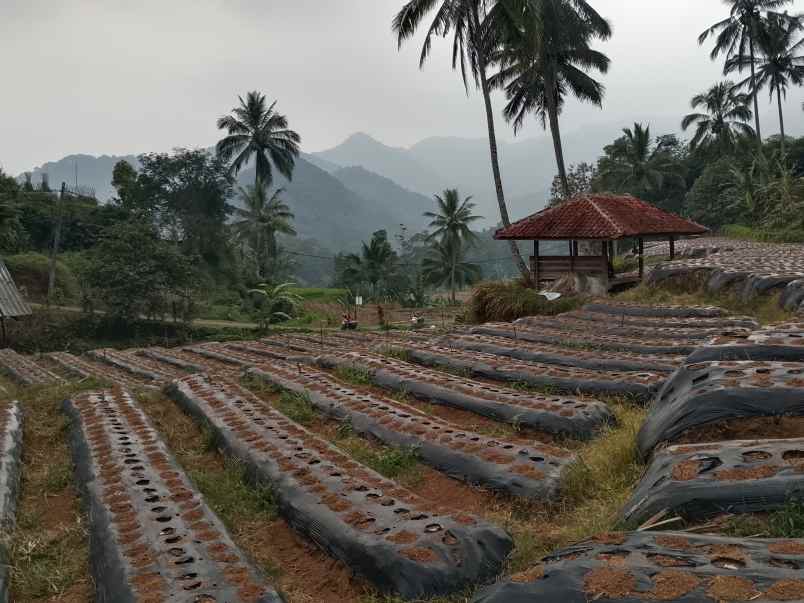 tanah dekat wisata air terjun ciangin ciater subang
