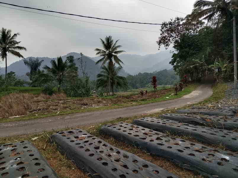 tanah dekat wisata air terjun ciangin ciater subang
