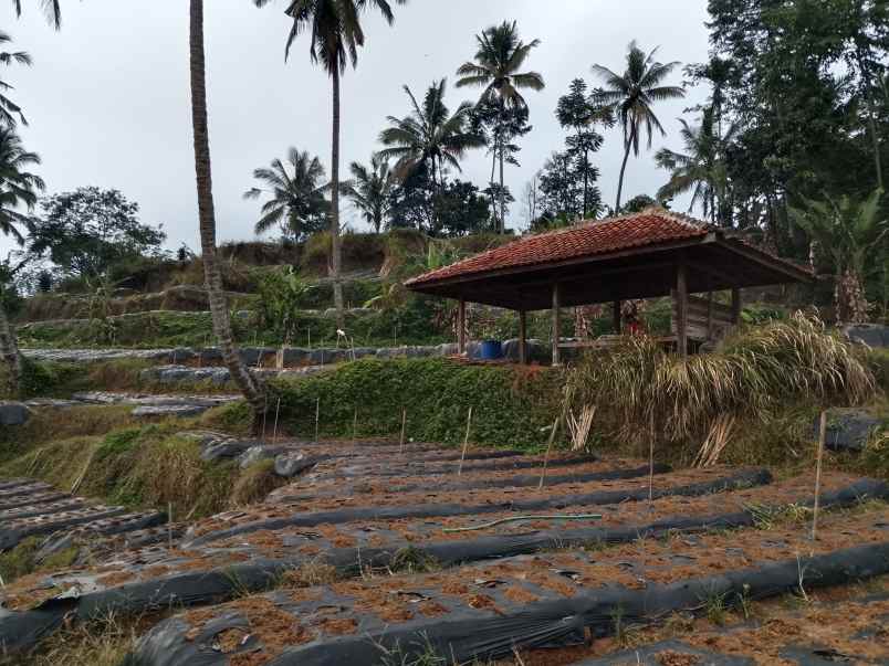 tanah dekat wisata air terjun ciangin ciater subang