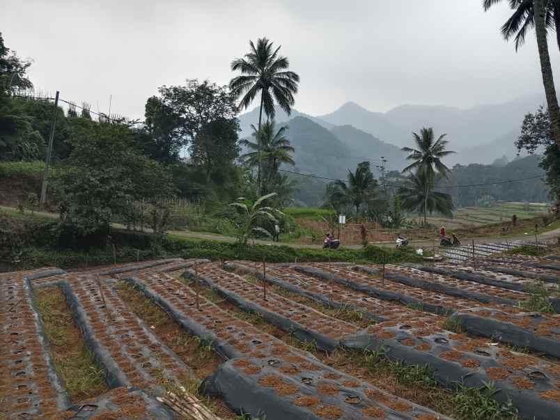 tanah dekat wisata air terjun ciangin ciater subang