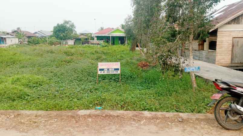 Tanah Dijual Di Selat Tengah Kapuas Kalimantan Tengah