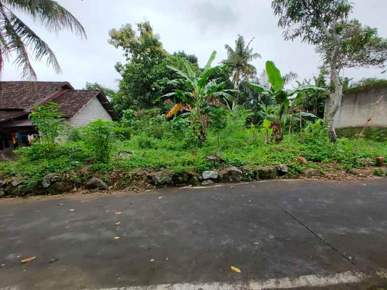 tanah karangpandan karanganyar