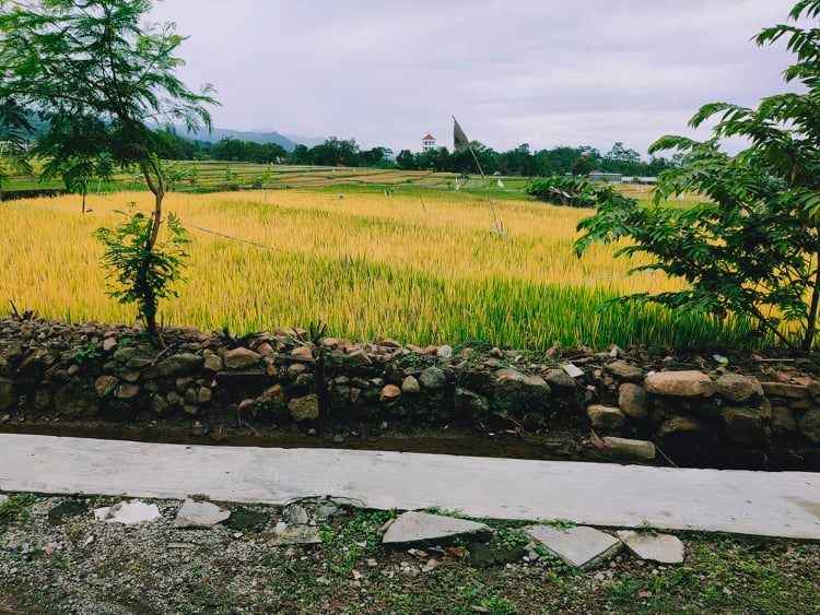 tanah karangpandan karanganyar