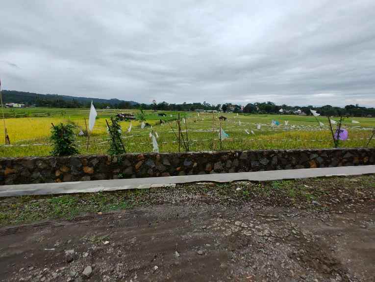 tanah karangpandan karanganyar