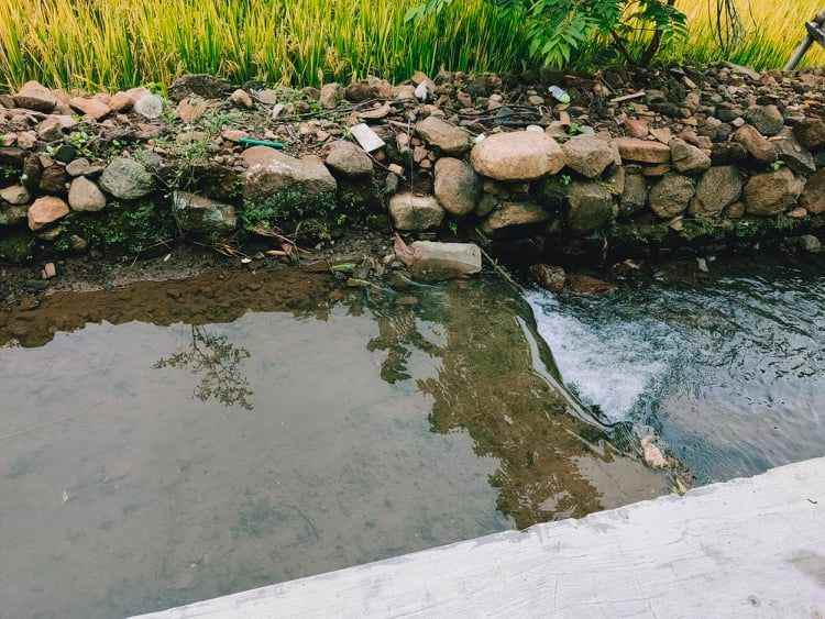 tanah karangpandan karanganyar