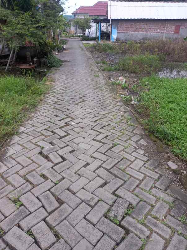 tanah kavling legundi siap bangun