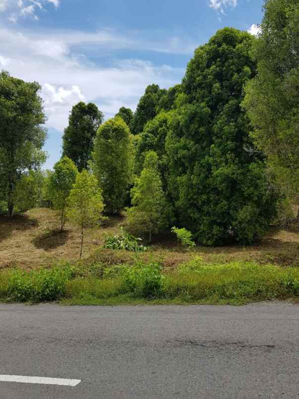 tanah kavling lokasi dekat jalan trans sulawesi