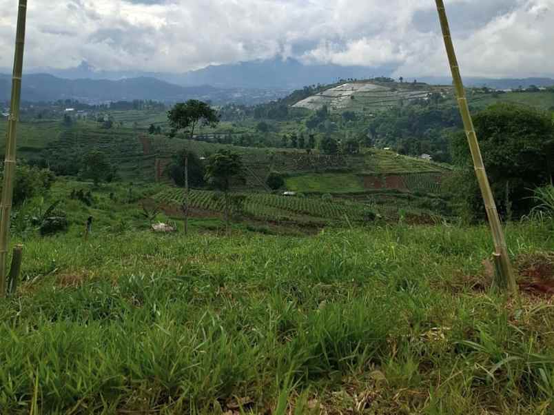 tanah kebun aktif desa sukaresmi cianjur