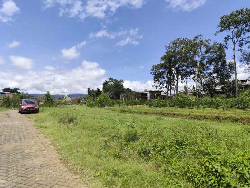 tanah kebun asri harga bagus di giripurno kota batu