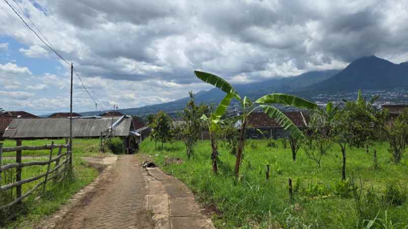 tanah kebun asri harga bagus di giripurno kota batu