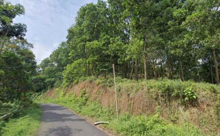 tanah kebun darat view bagus cisalak subang