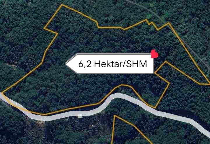 tanah kebun darat view bagus cisalak subang
