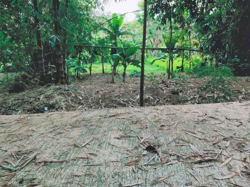 tanah mojogedang karanganyar