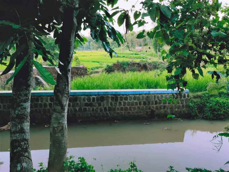 tanah mojogedang karanganyar