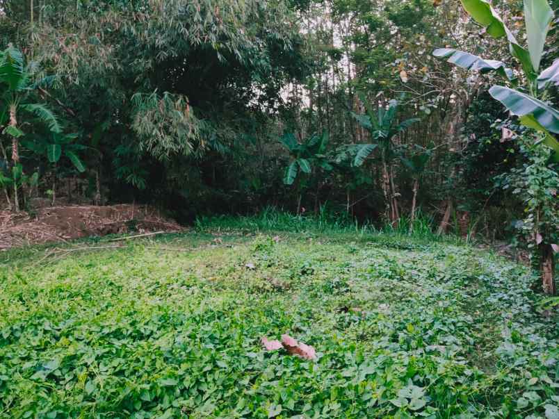 tanah mojogedang karanganyar