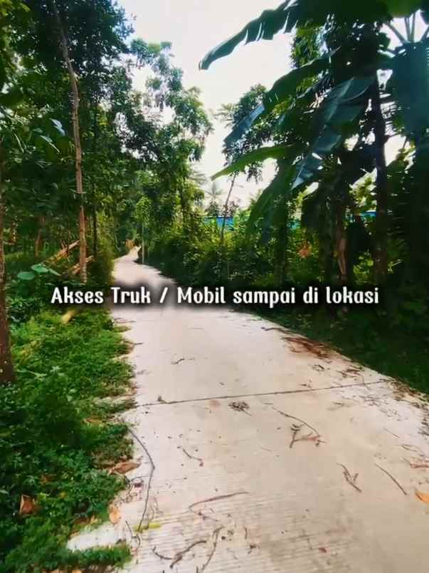 tanah murah banget di karangmalang gunung pati mijen