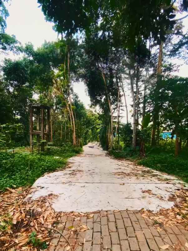 tanah murah banget di karangmalang gunung pati mijen