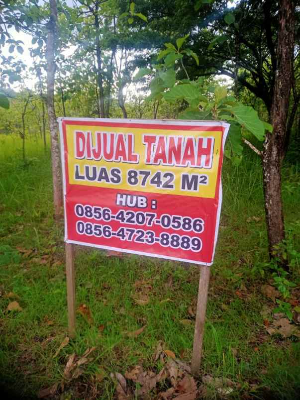 tanah murah bebas untuk usaha