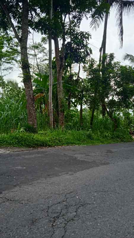 tanah murah strategis pinggir jalan aspal