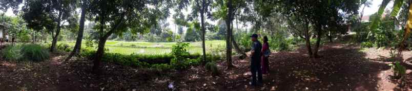 tanah pagaden kab subang