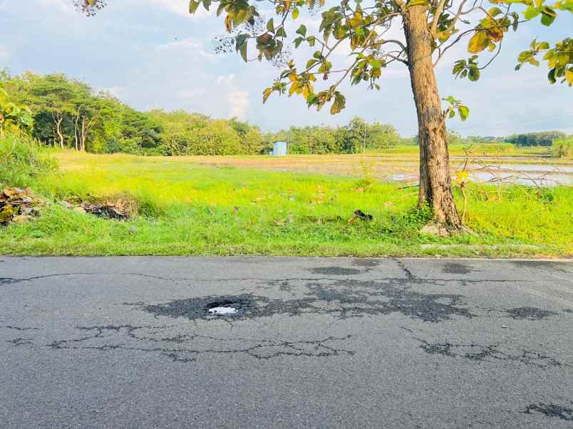 tanah strategis 1595m dekat karanganyar kota