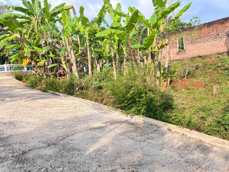 tanah super datar 300rb m 2000m karanganyar utara